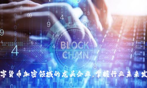 揭秘数字货币加密领域的龙头企业，掌握行业未来发展方向