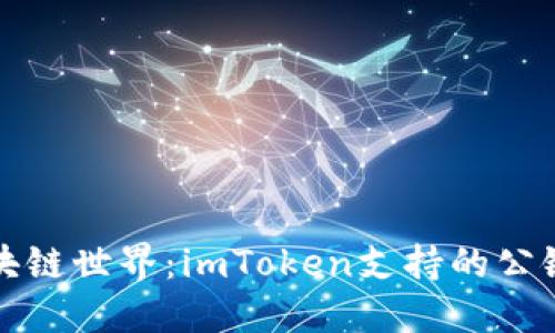 解锁区块链世界：imToken支持的公链全解读