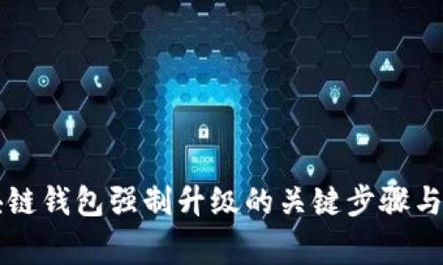 掌握区块链钱包强制升级的关键步骤与注意事项