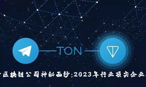 揭开区块链公司神秘面纱：2023年行业顶尖企业排名