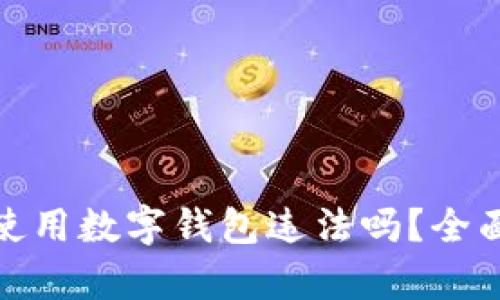 思考一个和的使用数字钱包违法吗？全面解析法律风险