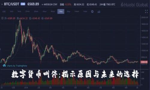 数字货币叫停：揭示原因与未来的选择