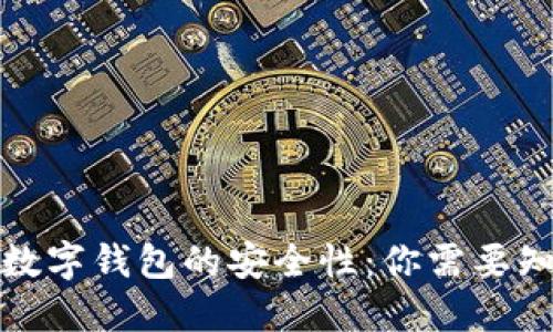 探究国外数字钱包的安全性：你需要知道的一切