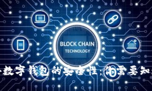 探究国外数字钱包的安全性：你需要知道的一切