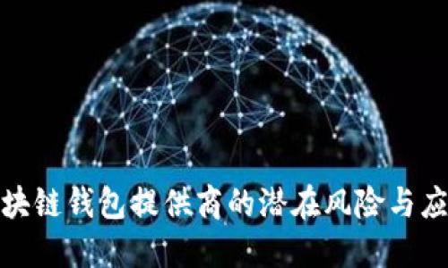 揭示区块链钱包提供商的潜在风险与应对策略