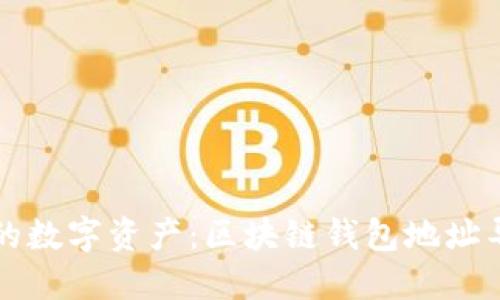 轻松管理你的数字资产：区块链钱包地址导入导出指南