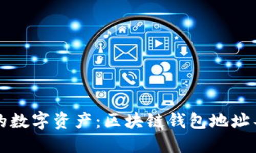 轻松管理你的数字资产：区块链钱包地址导入导出指南