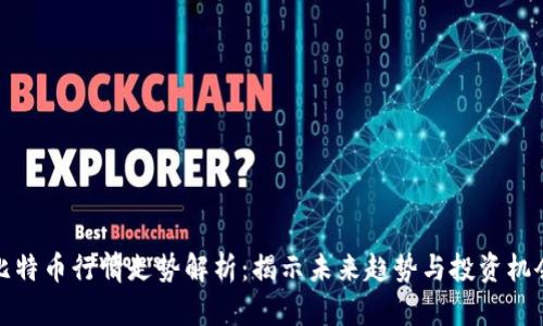 比特币行情走势解析：揭示未来趋势与投资机会