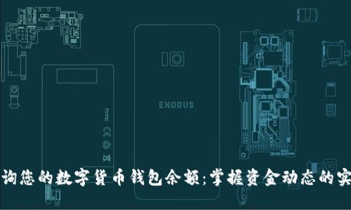 轻松查询您的数字货币钱包余额：掌握资金动态的实用指南