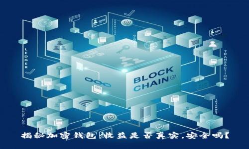 揭秘加密钱包：收益是否真实，安全吗？