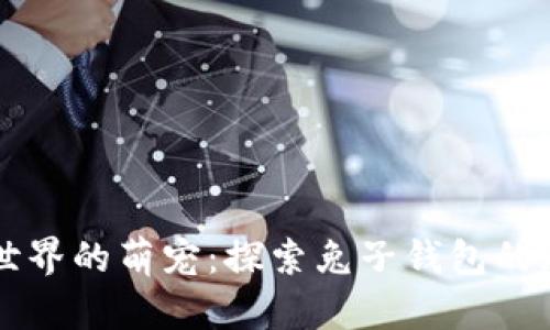 区块链世界的萌宠：探索兔子钱包的无限可能