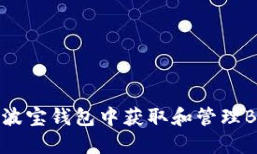如何在波宝钱包中获取和管理BAL资产