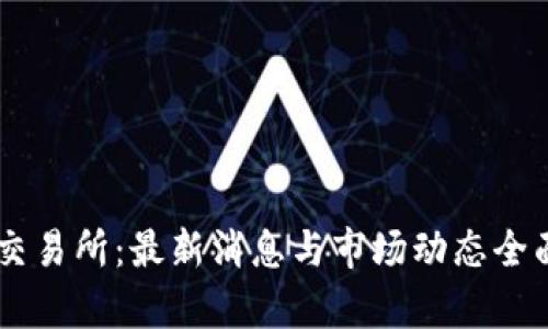 币客交易所：最新消息与市场动态全面分析
