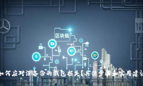 如何应对没备份的钱包损失？具体步骤和实用建议