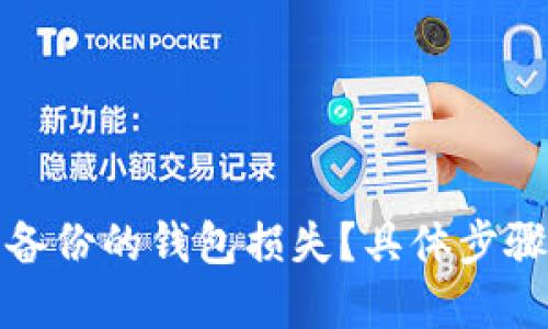 如何应对没备份的钱包损失？具体步骤和实用建议