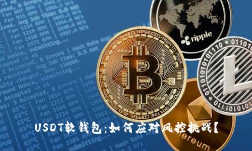 USDT软钱包：如何应对风控挑战？