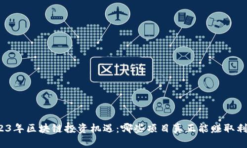 2023年区块链投资机遇：哪些项目真正能赚取利润？