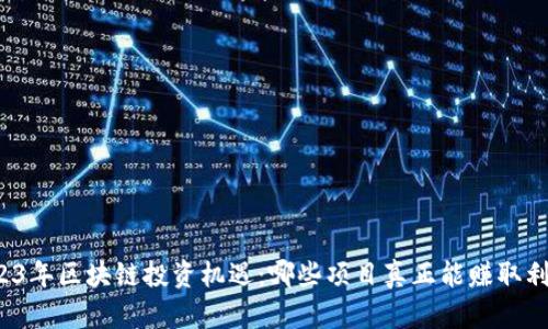 2023年区块链投资机遇：哪些项目真正能赚取利润？