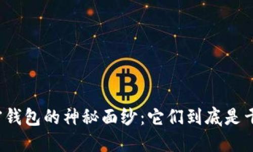 揭开加密钱包的神秘面纱：它们到底是干什么的？