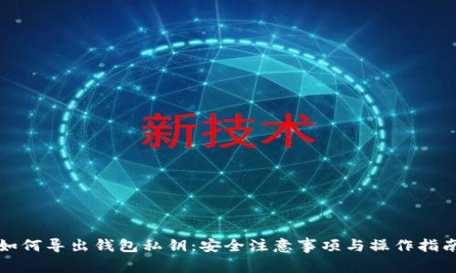 如何导出钱包私钥：安全注意事项与操作指南
