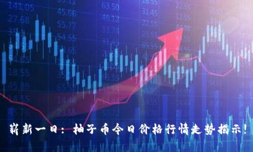 崭新一日: 柚子币今日价格行情走势揭示!