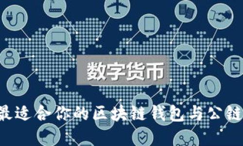 如何选择最适合你的区块链钱包与公链：全面指南