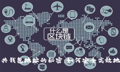 揭开区块链公共钱包地址的秘密：如何安全高效地使用数字资产