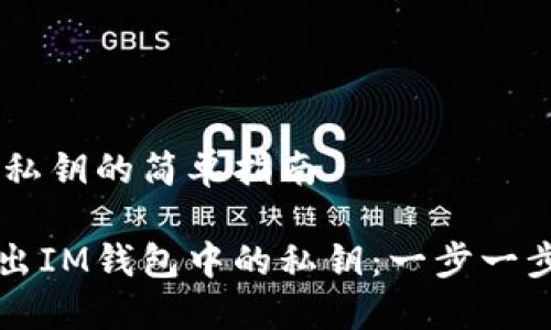 导出IM钱包私钥的简单指南

如何轻松导出IM钱包中的私钥：一步一步的详细指南