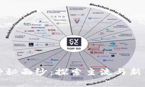 揭开数字货币的神秘面纱：探索主流与新兴加密货币的世界
