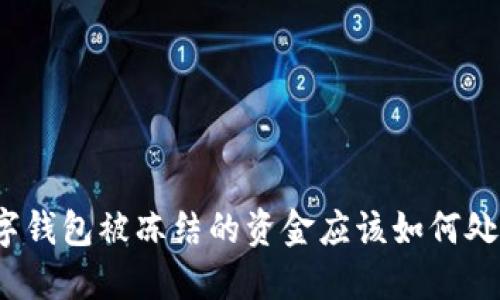 数字钱包被冻结的资金应该如何处理？