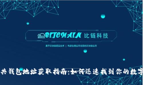 区块链公共钱包地址获取指南：如何迅速找到你的数字资产天堂