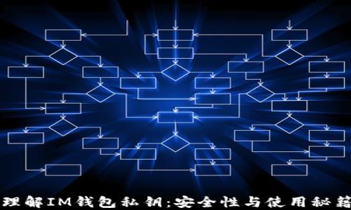 
理解IM钱包私钥：安全性与使用秘籍