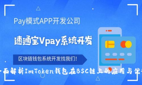 全面解析ImToken钱包在BSC链上的应用与优势