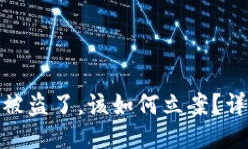 如果你的ImToken被盗了，该如何立案？详细指南与应对策略