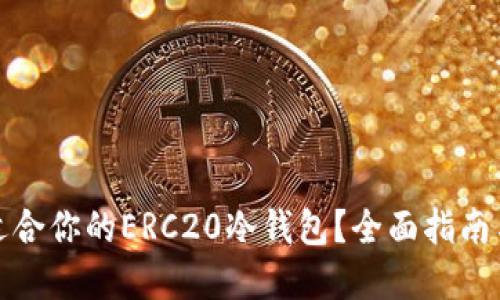 如何选择适合你的ERC20冷钱包？全面指南与实用建议
