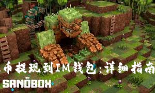 如何将虚拟币提现到IM钱包：详细指南与步骤解析