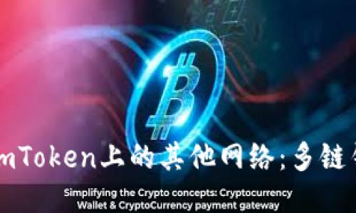 深入探索imToken上的其他网络：多链钱包的未来