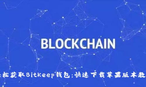 轻松获取BitKeep钱包：快速下载苹果版本教程