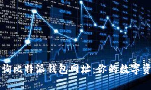 如何快速查询比特派钱包网址：你的数字资产管理助手