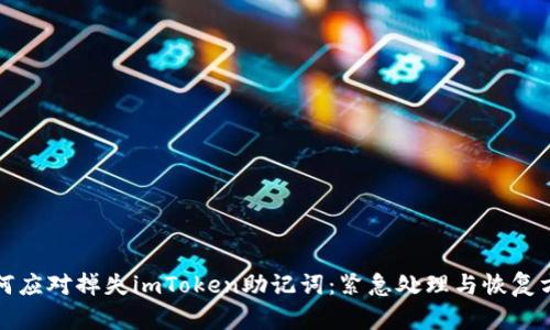 如何应对掉失imToken助记词：紧急处理与恢复方法