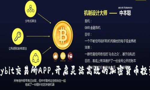 利用Bybit交易所APP，开启灵活高效的加密货币投资之旅