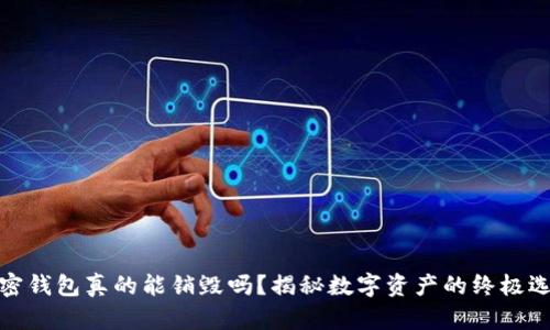 加密钱包真的能销毁吗？揭秘数字资产的终极选择