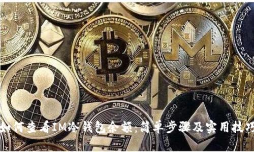 如何查看IM冷钱包余额：简单步骤及实用技巧