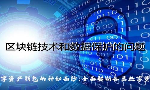 揭开数字资产钱包的神秘面纱：全面解析各类数字资产钱包
