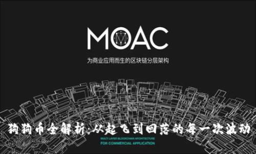 狗狗币全解析：从起飞到回落的每一次波动