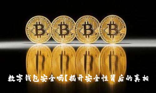 数字钱包安全吗？揭开安全性背后的真相