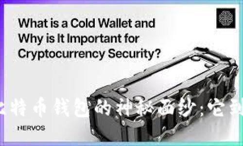 揭开中本聪比特币钱包的神秘面纱：它到底藏着什么？