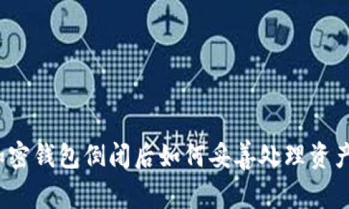 加密钱包倒闭后如何妥善处理资产？