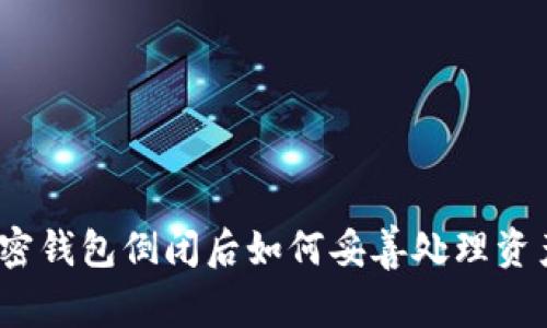 加密钱包倒闭后如何妥善处理资产？